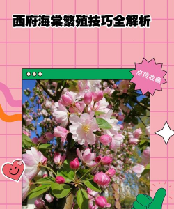 小众送妈妈的花有哪些花