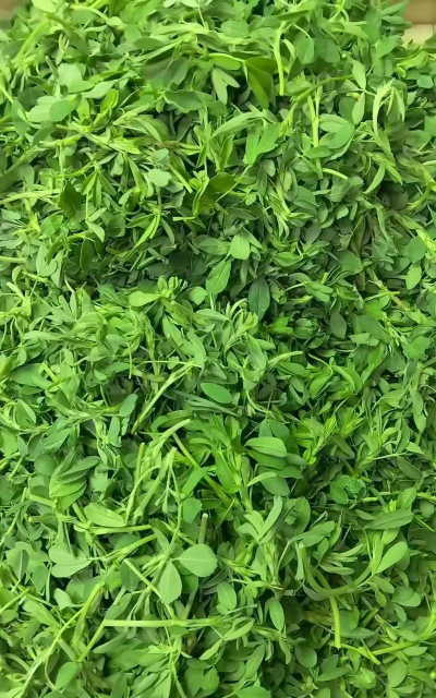 小众送妈妈的花有哪些花