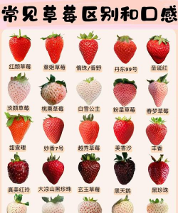 小众送妈妈的花有哪些花