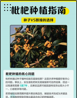 枇杷种子能种出枇杷树吗