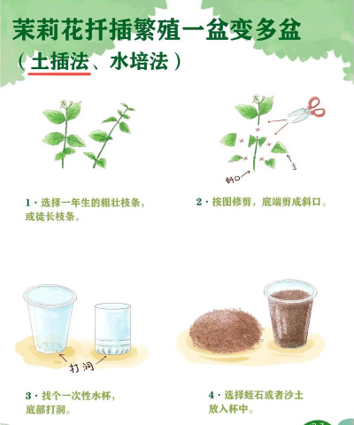 小众送妈妈的花有哪些花