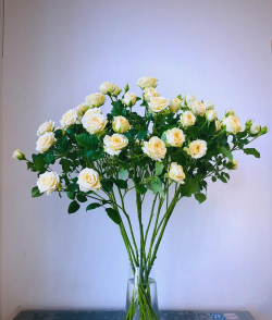 小众送妈妈的花有哪些花