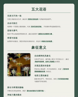 小众送妈妈的花有哪些花