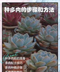 小众送妈妈的花有哪些花