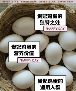 贵妃鸡孵蛋要多少天