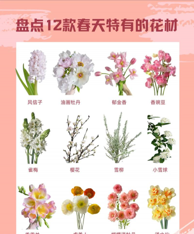 花儿都有什么品种