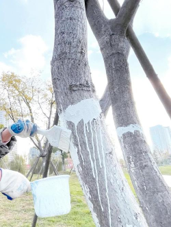 小众送妈妈的花有哪些花