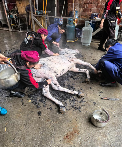 小众送妈妈的花有哪些花