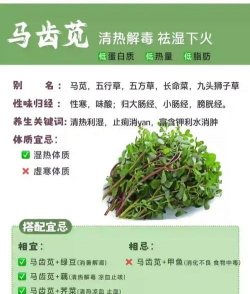 马齿苋有毒吗