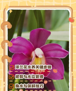 小众送妈妈的花有哪些花