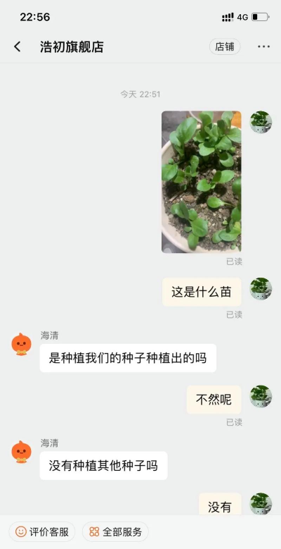 小众送妈妈的花有哪些花