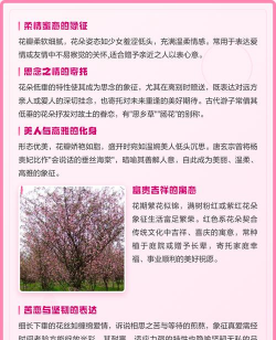 小众送妈妈的花有哪些花