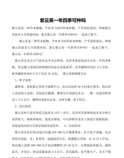 小众送妈妈的花有哪些花