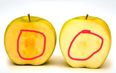 丑苹果是转基因吗，如何识别转基因苹果