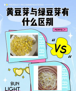 绿豆芽和黄豆芽哪个贵，怎么区别