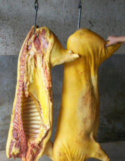 小众送妈妈的花有哪些花