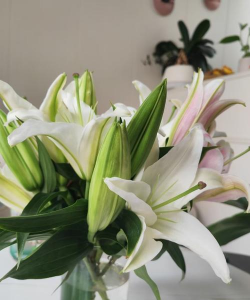 小众送妈妈的花有哪些花