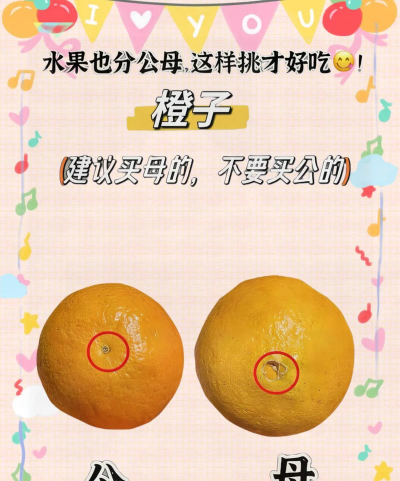 “公母”橘子傻傻分不清难怪你买的橘子不好吃，这么挑选才对