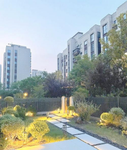 小众送妈妈的花有哪些花