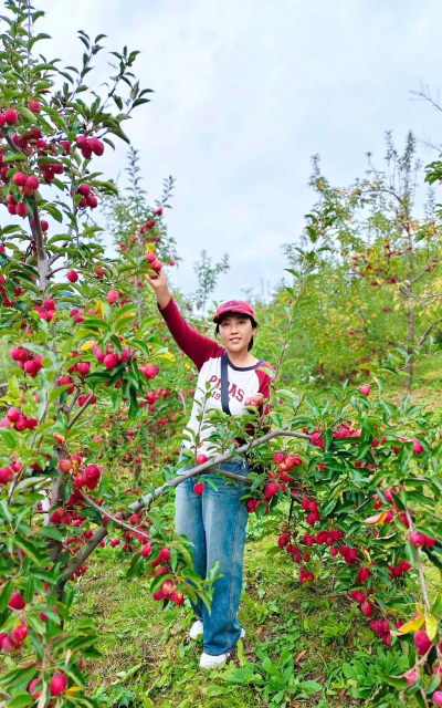 小众送妈妈的花有哪些花