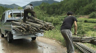 小众送妈妈的花有哪些花