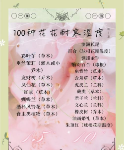 小众送妈妈的花有哪些花