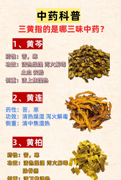 黄连和黄芩的区别