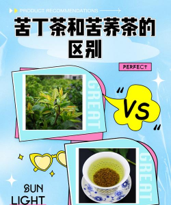苦荞茶和苦丁茶的区别