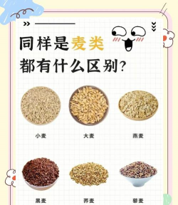 小麦和大麦的区别