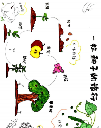 小众送妈妈的花有哪些花