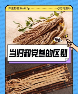 党参和当归的区别
