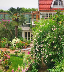 68岁爷爷，1万块打造最美私家花园，老外都慕名而来！