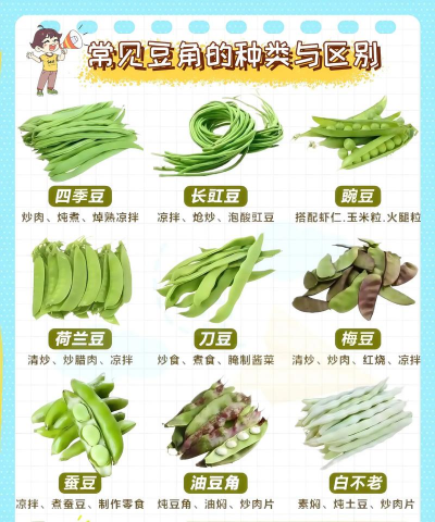 甜豆和四季豆区别 甜豆和四季豆区别