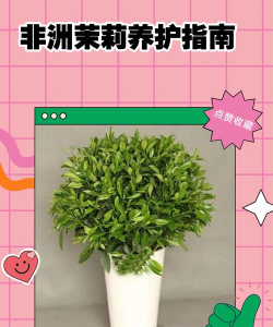 小众送妈妈的花有哪些花