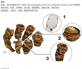 云南重楼与华重楼的区别
