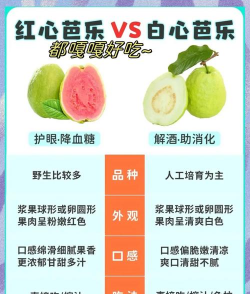 番石榴怎么吃，番石榴红心和白心区别