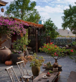 小众送妈妈的花有哪些花