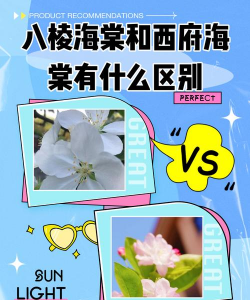 八棱海棠和西府海棠的区别