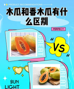番木瓜和木瓜的区别