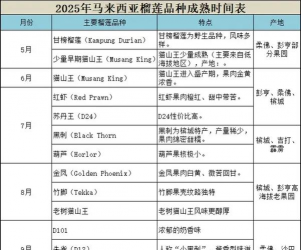 榴莲什么时候成熟