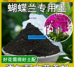 小众送妈妈的花有哪些花