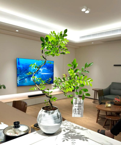 小众送妈妈的花有哪些花