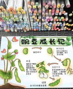 小众送妈妈的花有哪些花