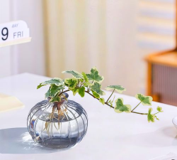 小众送妈妈的花有哪些花