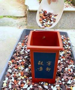 小众送妈妈的花有哪些花