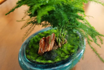 小众送妈妈的花有哪些花