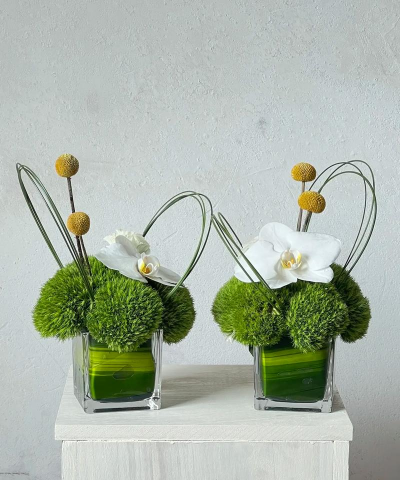 小孩最喜欢的6种花,书桌茶几摆一盆,健康又干净! 小孩最喜欢的6种花,书桌茶几摆一盆,健康又干净!