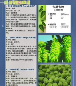 啤酒花的养殖方法