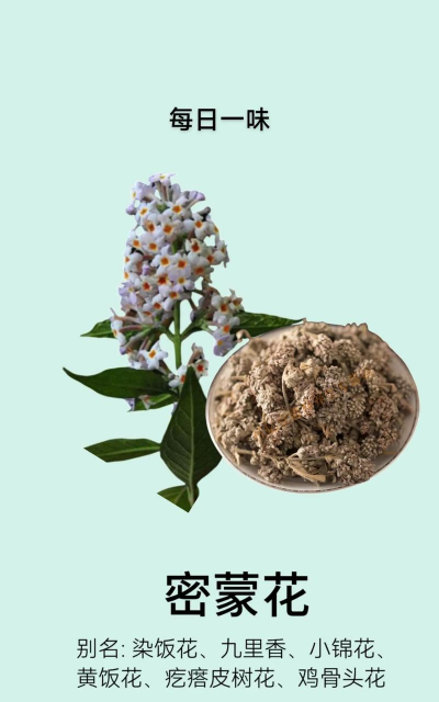 小众送妈妈的花有哪些花