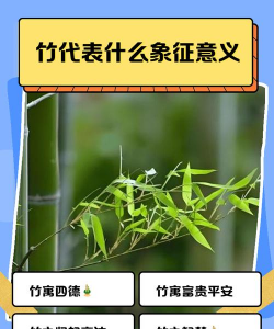 竹子象征含义什么 竹子象征含义什么